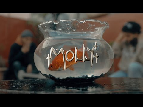 LHAJ - MOLLY ( Official Music Video ) Prod By Yo Asel