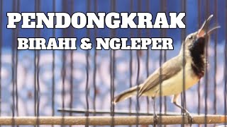 Download lagu PANCINGAN SOGON CEPAT BUKA SAYAP ❗ AMPUH BIKIN NAIK BIRAHI mp3