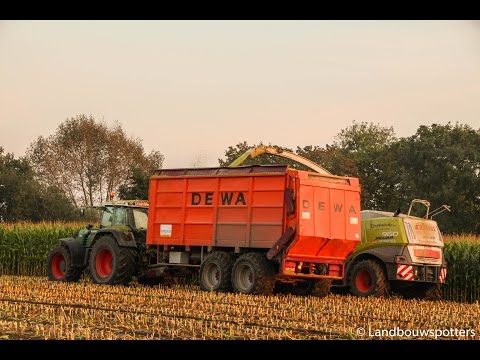 Claas Jaguar 960 mais hakselen 2014 - Verplancke uit Wontergem