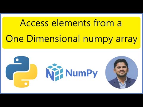 How To Access Elements From A One Dimensional Numpy Array In Python