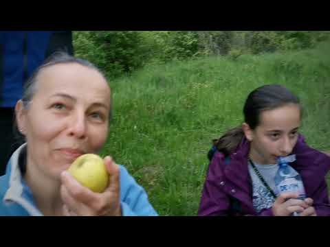 Drumeție - Bistra Mureșului