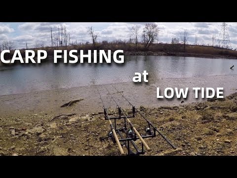 TIDAL Carp Fishing: HOT Action with the OUTGOING Tide!