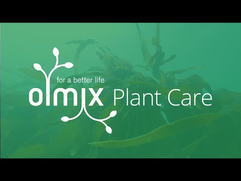 Olmix Plant Care: Growing Plant In A Changing World With Olmix Biostimulants