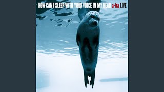 Did Anyone Approach You? (Live)