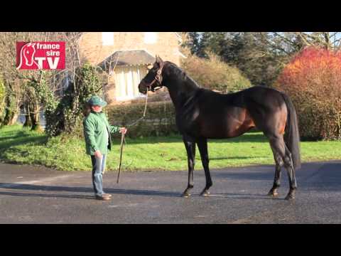RDE 2014 : Konig Turf - Haras de Mirande