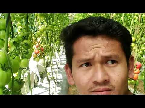 Anugrah krishi farm pro.by Buddhiman Tamang 2021&2078 Nepali