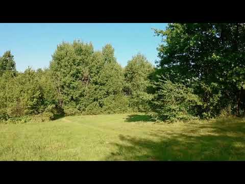 Siedlisko 3.44 ha - gospodarstwo Tarnawa - Łapanów - Joanna Podgajska RE/MAX DUO