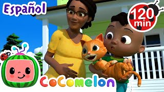 Thumbnail del capítulo