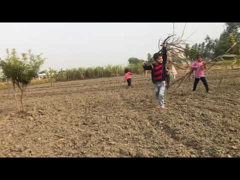 Simrah Ansar in “sugar cane “field