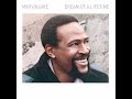 Marvin Gaye - Life's Opera