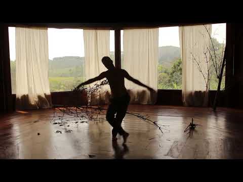 VISITAÇÃO #1 Eduardo Colombo - Arte como Respiro :: Itaú Cultural