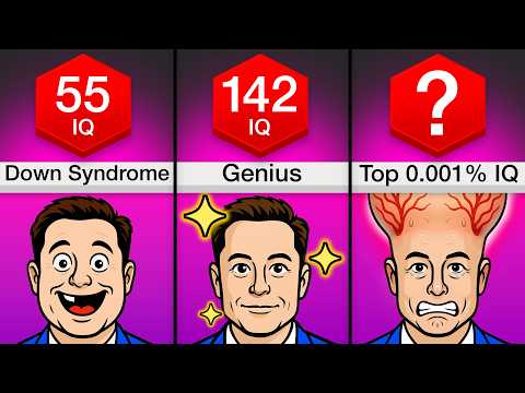 Comparison: Every Level Of Intelligence