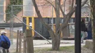 Eternal Dingbats Take I-con 31