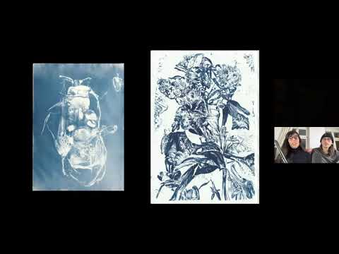 MIT 6.S192 - Lecture 11: "Artificial Biodiversity", Sofia Crespo and Feileacan McCormick