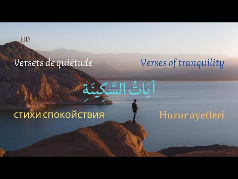 Verses of tranquility _ Beautiful and relaxing recitation + English audio translation