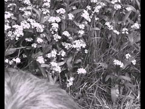 Stuart Pound - Satara UK 2002