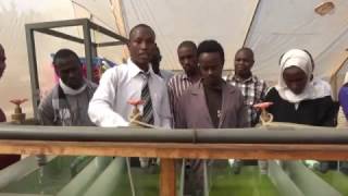 Hatchery Production - Ornamental Fish