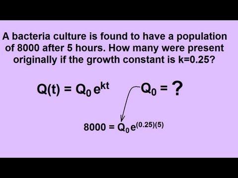 Another Word For Exponential Growth Discover The Best Events Near You