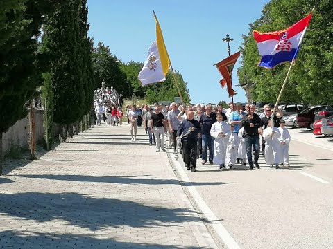 Procesija na blagdan sv. Ivana Krstitelja - Dobranje 24.6.2020.
