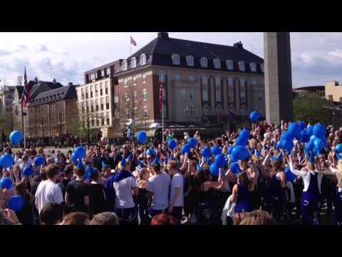 Øienruss 2013 i russetoget