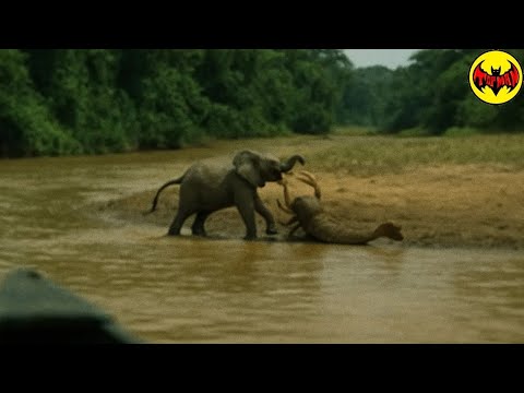 Terrifying African River Monster Caught on Camera for the First Time