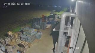 Il video dei ladri in azione (con passamontagna e mazze) nella zona industriale bersagliata dai f...