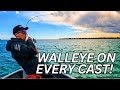 Huge School Of Walleye Feeding Frenzy