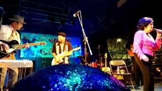 Heartbreak Hotel (and Elvis story intro) - Wanda Jackson