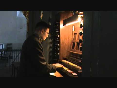 Vidas Pinkevicius: Organ Demonstration Meet the King of Instruments Part I