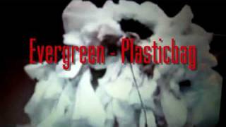 Evergreen - Plastic bag