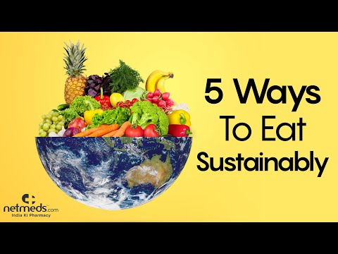 World Environment Day: 5 ..