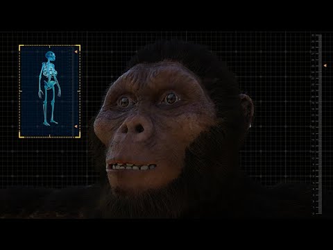 Forensic Facial Digital Reconstruction 3D - Australopithecus Afarensis (Lucy)