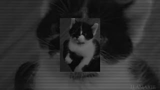 Download lagu Middle of the night - Speed Up mp3