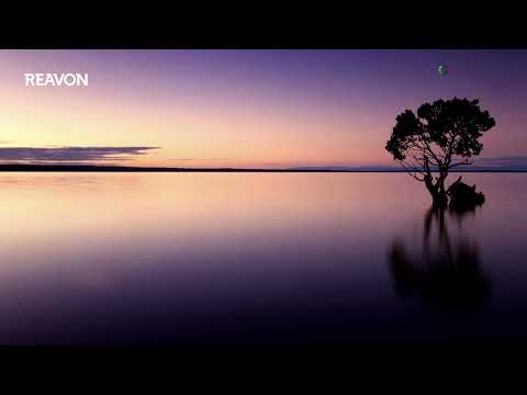 Reavon UBR-X200 - start ISO