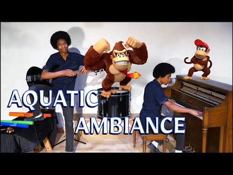 Donkey Kong Country "Aquatic Ambiance" (Solo Cover by Aaron Grooves)