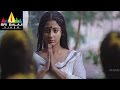 Dronacharya Movie Navya Nair In Temple Scene Mammootty Navya Nair Sri Balaji Video