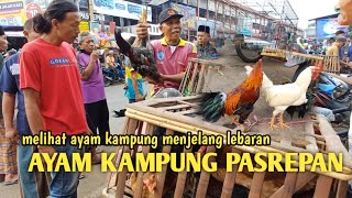 Download lagu MAU LEBARAN BANYAK PETANI JUAL AYAM KAMPUNG DI PASAR PASREPAN PASURUAN mp3 Download lagu MAU LEBARAN BANYAK PETANI JUAL AYAM KAMPUNG DI PASAR PASREPAN PASURUAN mp3