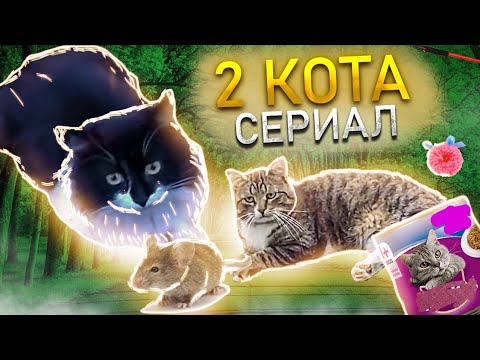 У кота Чувачка лётная погода Наш сериал о котике Кузе и коте Чувачке