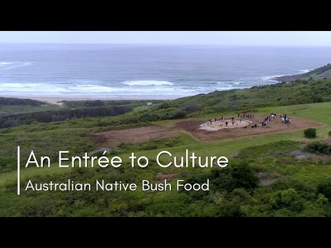 'An Entrée to Culture – Australian Native Bush Food'