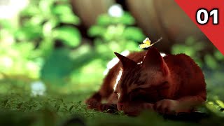 #1【Stray】インサイドウォール～アパート(実況なし)
