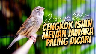 Download lagu MATERI ISIAN MEWAH PALING DICARI - MASTERAN KENARI ISIAN BLACKTHROAT GACOR DURASI PANJANG #02 mp3