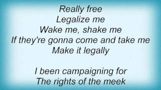 18973 Pretenders - Legalise Me Lyrics