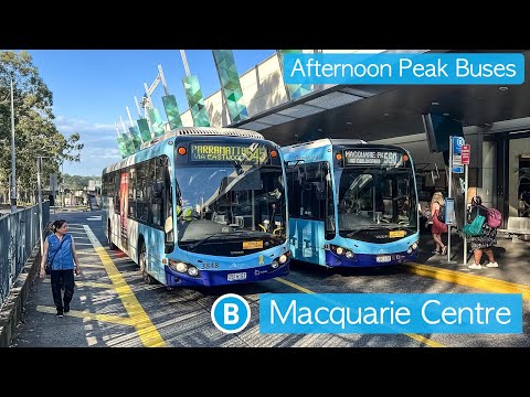 Transport for Sydney Vlog 949: Macquarie Centre Afternoon Peak Buses