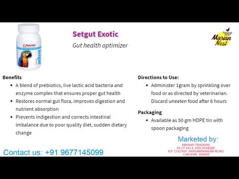 Animal Immuncare Drop