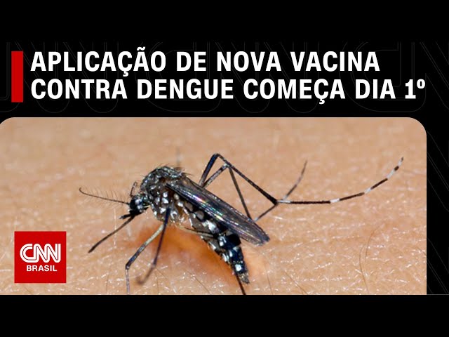 Aplicação de nova vacina contra dengue começa dia 1º de julho | LIVE CNN