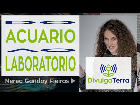 Vídeo: Do acuario ao laboratorio
