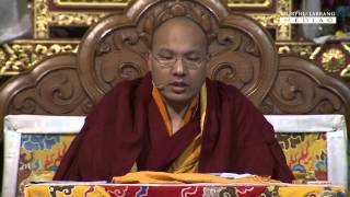 第十七世法王噶瑪巴開示《解脫莊嚴論》1/11