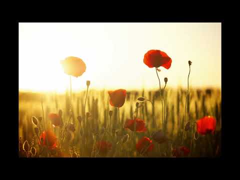 Tomasz Cofta - Niech cała ziemia