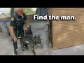When Criminals Hide From Police K9 Dogs and FAIL