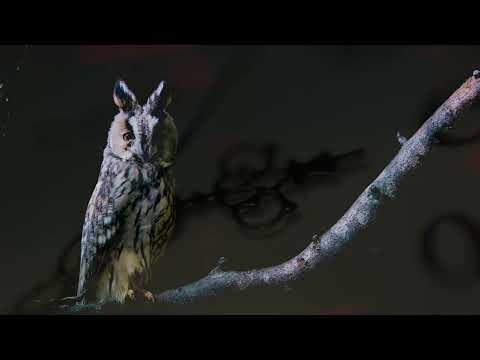 Anter x West - Od Wielu Lat (prod. Spiker)